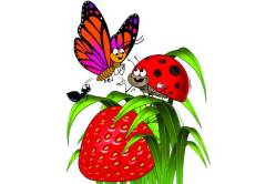 किडय़ाची खोड मोडली