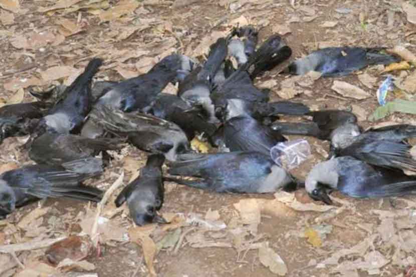 संग्रहित छायाचित्र