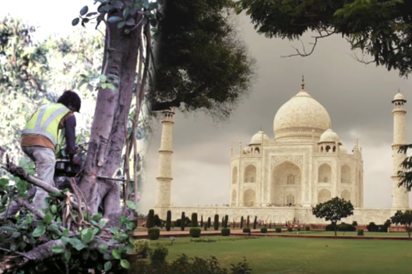 प्रातिनिधिक फोटो (ताजचा फोटो रॉयटर्सवरुन साभार)