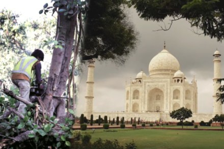 प्रातिनिधिक फोटो (ताजचा फोटो रॉयटर्सवरुन साभार)
