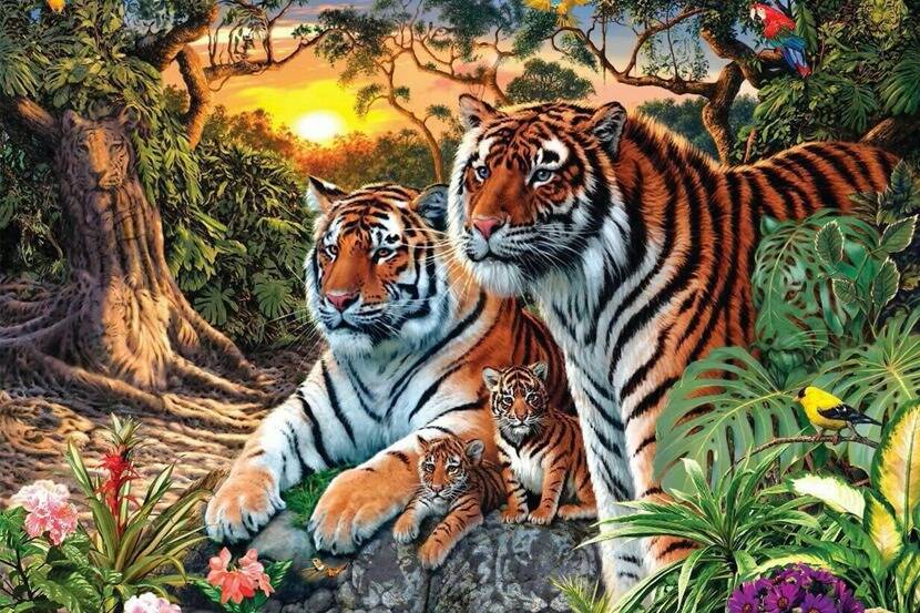 व्याघ्र प्रकल्पाबाहेरील वाघांच्या मृत्यूचे प्रमाण राज्यात सर्वाधिक