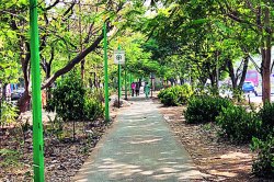 हरितपथ गायब होणार!