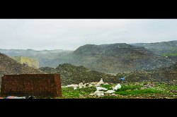 पालिकेला दंड