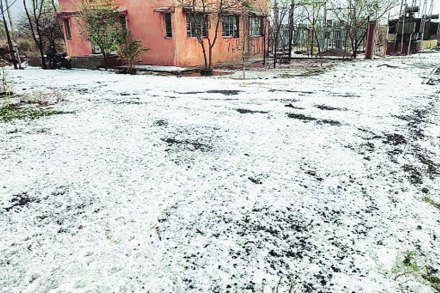 (संग्रहित छायाचित्र)