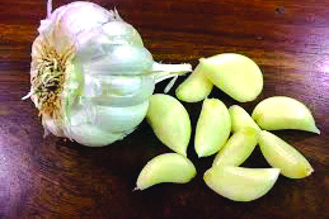 काही दिवसांपूर्वी किरकोळ बाजारात १०० ते १२० रुपये किलो दराने विक्री होणाऱ्या लसणाची आता १४० ते १६० रुपये किलो दराने विक्री होत आहे. काही दिवसांपूर्वी किरकोळ बाजारात १०० ते १२० रुपये किलो दराने विक्री होणाऱ्या लसणाची आता १४० ते १६० रुपये किलो दराने विक्री होत आहे.