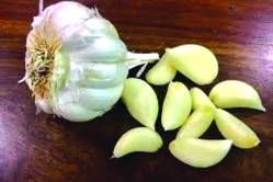 लसूण ४० रुपयांनी महाग