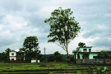 राज्यात उद्यापासून पावसाचा अंदाज