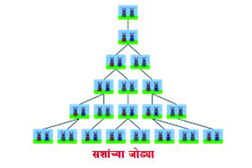 (संग्रहित छायाचित्र)