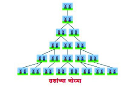 (संग्रहित छायाचित्र)