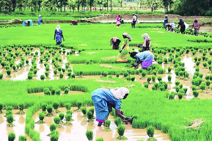 यूपीएससीची तयारी : भूगोल – पर्यावरणीय, सामाजिक, आर्थिक यूपीएससीची तयारी : भूगोल – पर्यावरणीय, सामाजिक, आर्थिक