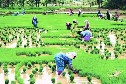 यूपीएससीची तयारी : भूगोल – पर्यावरणीय, सामाजिक, आर्थिक यूपीएससीची तयारी : भूगोल – पर्यावरणीय, सामाजिक, आर्थिक