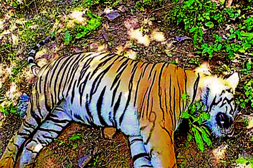 (संग्रहित छायाचित्र)