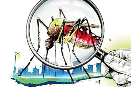 अंबरनाथ, बदलापुरात डासांचा प्रादुर्भाव अंबरनाथ, बदलापुरात डासांचा प्रादुर्भाव