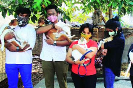 मुक्या प्राण्यांवरील प्रेम व्यक्त करण्यासाठी अनोखा व्हॅलेंटाइन दिन मुक्या प्राण्यांवरील प्रेम व्यक्त करण्यासाठी अनोखा व्हॅलेंटाइन दिन