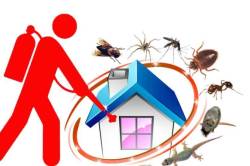 घरात किटकनाशक फवारणीनंतर ठाण्यात बालिकेचा मृत्यू