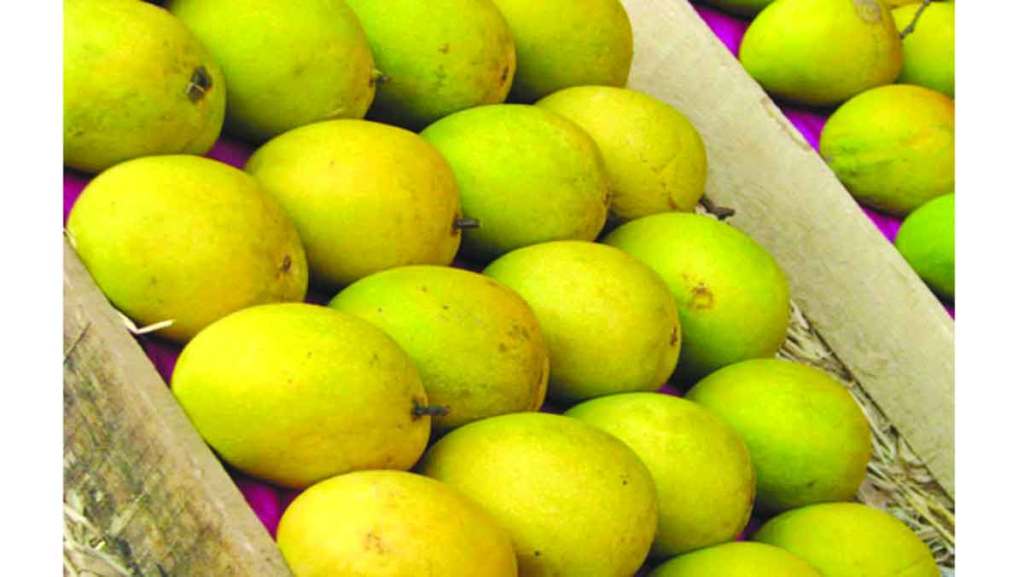 (संग्रहित छायाचित्र) (संग्रहित छायाचित्र)