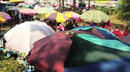 करोनाचा प्रादुर्भाव कमी होताच पुन्हा शहरी व ग्रामीण भागात आठवडे बाजार भरण्यास सुरुवात झाली आहे. करोनाचा प्रादुर्भाव कमी होताच पुन्हा शहरी व ग्रामीण भागात आठवडे बाजार भरण्यास सुरुवात झाली आहे.