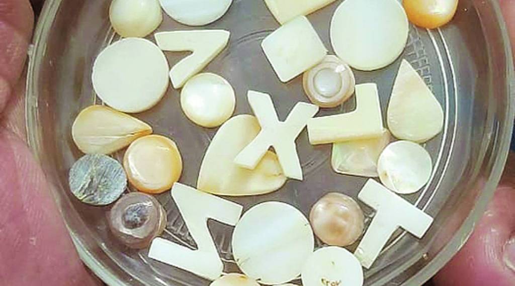 मोत्यांना बाजारात चांगली मागणी असल्याने यातून उत्त्पन्न स्रोत विकसित झाला आहे.