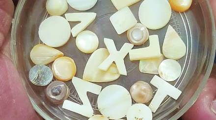 मोत्यांना बाजारात चांगली मागणी असल्याने यातून उत्त्पन्न स्रोत विकसित झाला आहे.