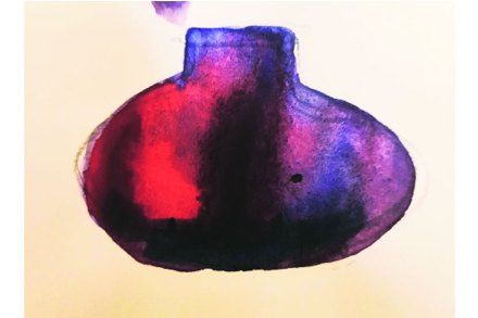 (संग्रहित छायाचित्र) (संग्रहित छायाचित्र)