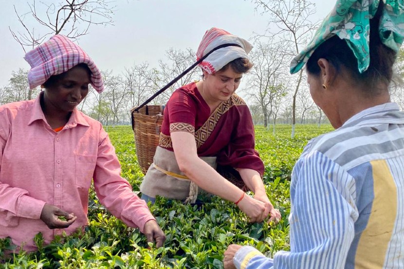 (फोटो: twitter/INCIndia वरुन साभार) (फोटो: twitter/INCIndia वरुन साभार)