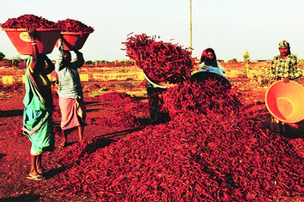 (संग्रहित छायाचित्र) (संग्रहित छायाचित्र)
