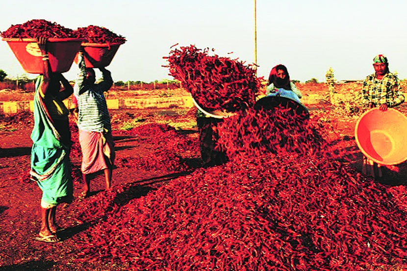 (संग्रहित छायाचित्र)