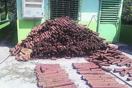 होळीसाठी पर्यावरणपूरक लाकडाचा वापर