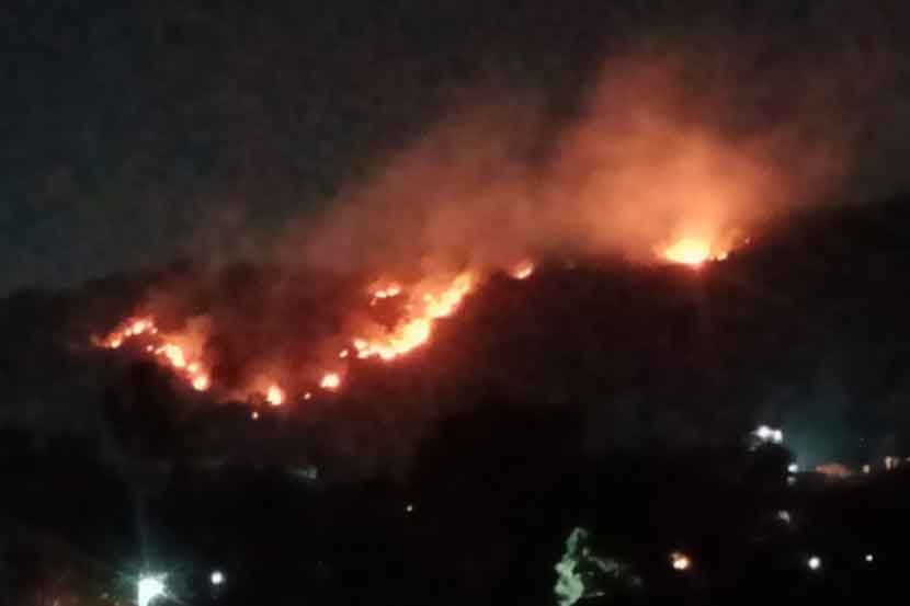 नायगाव पूर्वेतील चंडिका मातेच्या डोंगराला भीषण आग