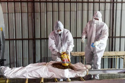 covid 19 death covid 19 death