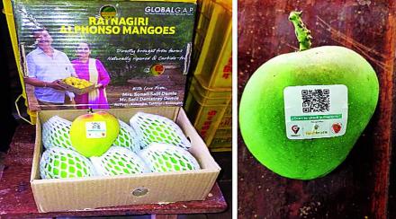 (संग्रहित छायाचित्र) (संग्रहित छायाचित्र)