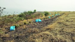 рдорд╛рдереЗрд░рд╛рдирдЪреНрдпрд╛ рдбреЛрдВрдЧрд░рд╛рд╡рд░ рдорд╛рдирд╡рд╡рд┐рд░рд╣рд┐рдд рд╡рдгрд╡рд╛ рдкреНрд░рддрд┐рдмрдВрдзрдХ рдкреНрд░рдпреЛрдЧ