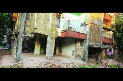 महावितरण कर्मचाऱ्यांची वसाहत धोकादायक