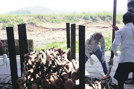 (संग्रहीत प्रतिकात्मक छायाचित्र)