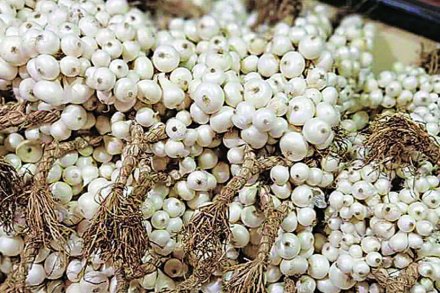 पांढरा कांदा उत्पादक शेतकऱ्यांना कांदा विक्रीचा पेच