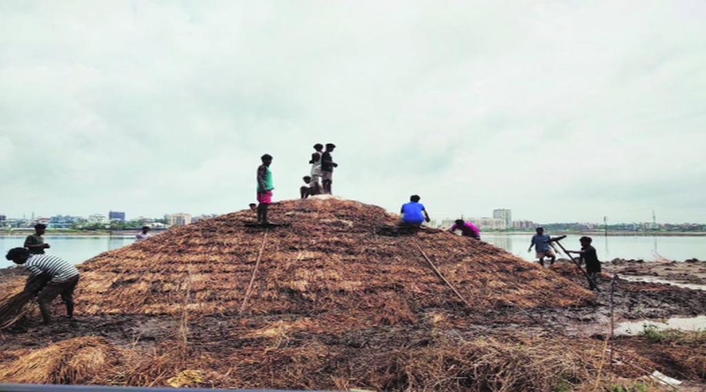 वसई-विरारमधील मिठागरे पाण्यात