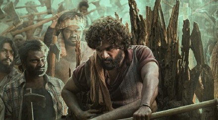 Allu Arjun Pushpa Film