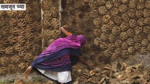 cow dung use in india