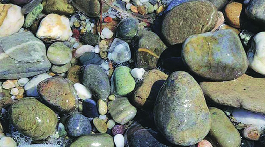 प्राकृतिक व पर्यावरणीय भूगोल