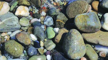 प्राकृतिक व पर्यावरणीय भूगोल
