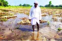 हवामान बदलास महाराष्ट्र सज्ज?