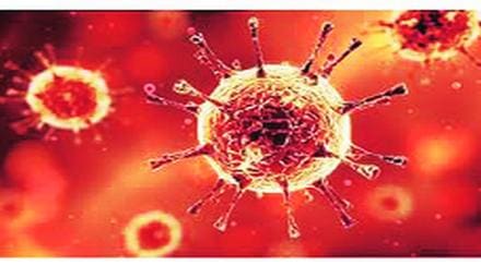 विषाणूचा ‘भारतीय उपप्रकार’ नाही