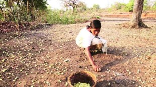 mahua flowers