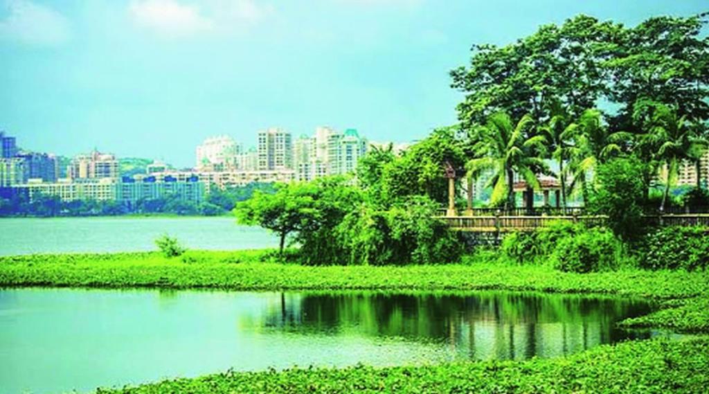पवई तलावाची देखभाल दुर्लक्षित