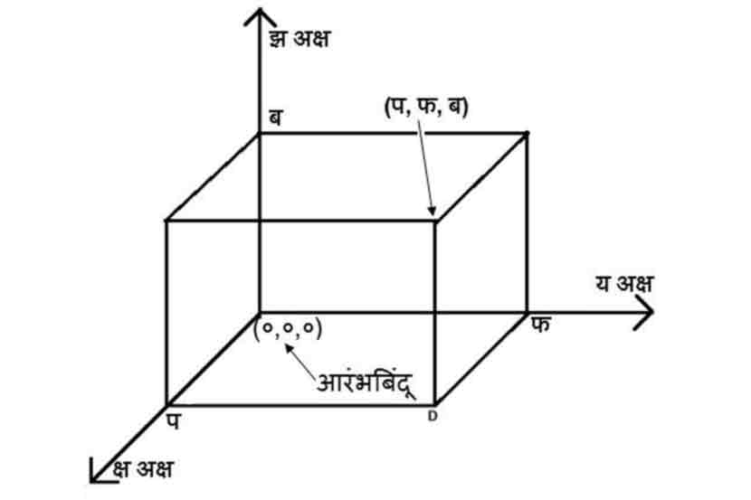 कुतूहल : अवकाश व्यापणारी भूमिती