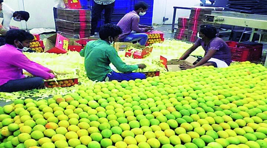 हवामान बदलाचा फटका; हवाई वाहतुकीवरील र्निबधांचाही परिणाम