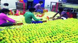 हवामान बदलाचा फटका; हवाई वाहतुकीवरील र्निबधांचाही परिणाम