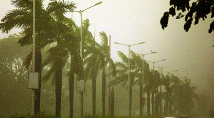 नवी मुंबईला ‘तौक्ते’चा तडाखा