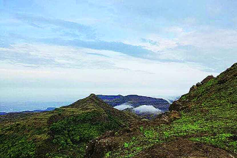 पावसाळ्यात इगतपुरीतील निसर्गसौंदर्य असे बहरते (संग्रहित छायाचित्र)
