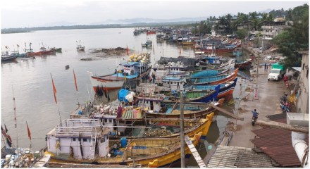 पालघर : मासेमारीसाठी समुद्रात गेलेल्या ५१२ नौका समुद्रकिनारी दाखल!